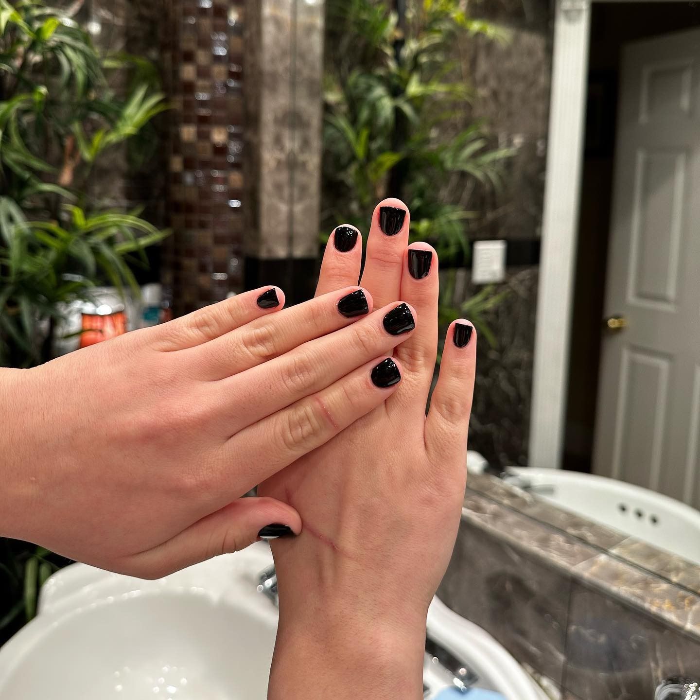 shellac